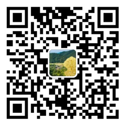 易彩堂网址